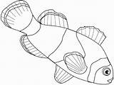 Colorat Peste Clownfish Desene Clovn Pesti Planse Poisson Animale Designlooter Getcolorings sketch template