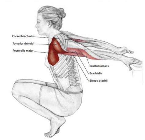 assisted reverse shoulder stretch common neck and shoulder stretching