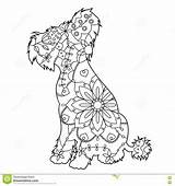 Crested Chinese Dog Coloring 1300 05kb sketch template