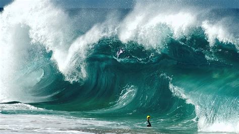 a bold man dives head on into largest waves on earth the