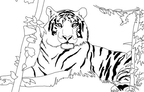 tiger coloring pages png