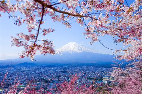 Mt Fuji With Cherry Blossom Sakura In Spring