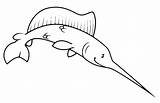 Pesce Spada Colorare Swordfish Pesci Disegno Coloradisegni Pages2color Elegante Cookie sketch template
