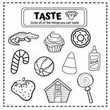 Coloring Sense Smell Senses Pages Five Differentiated Template sketch template