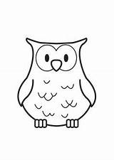Coloring Pages Graduation Owl sketch template
