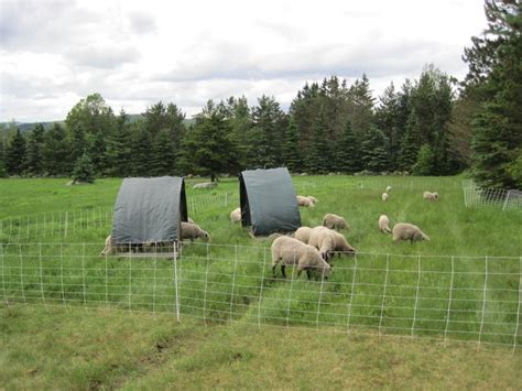 sheep shelters images  pinterest animal