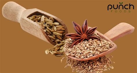 anise  fennel seeds    difference