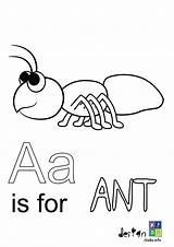 Coloring Ants sketch template