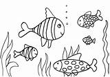 Ecosystem Ocean Drawing Coloring Pages Coral Reef Getdrawings sketch template