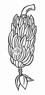 Bunch Banana Bananas Drawing Coloring Pages Fruit Kids Big Fruits Pudding Clipart Getdrawings Clipartmag Cliparts Choose Board sketch template