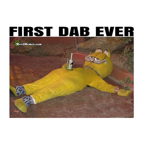 first dab ever top 10 best first dab memes weed memes