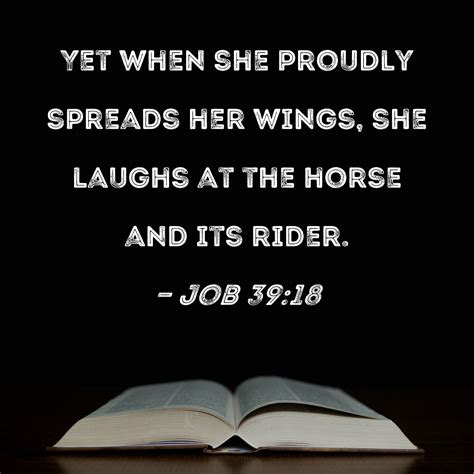job 39 18 yet when she proudly spreads her wings she laughs at the