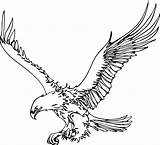 Eagle Outline Drawing Clip Clipart Eagles Flying Tattoo Line Cliparts Just Drawings Digital Bald Silhouette Pig American Clipartbest Strong Down sketch template