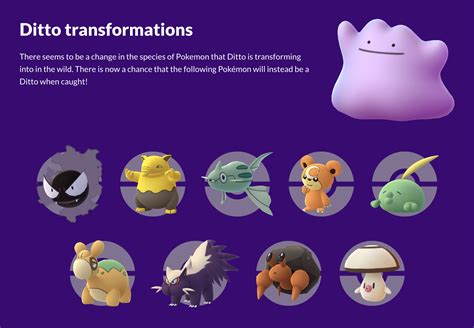 How Does Shiny Ditto Work In Pokémon Go Pokémon Go Hub