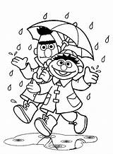 Coloring Rain Pages Ernie Bert Weather Sesame Rainy Umbrella Street Away Go Windy Under Printable Kids Color Getcolorings Falling Sheet sketch template