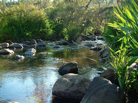rocky pool john forrest national park hovea western australia