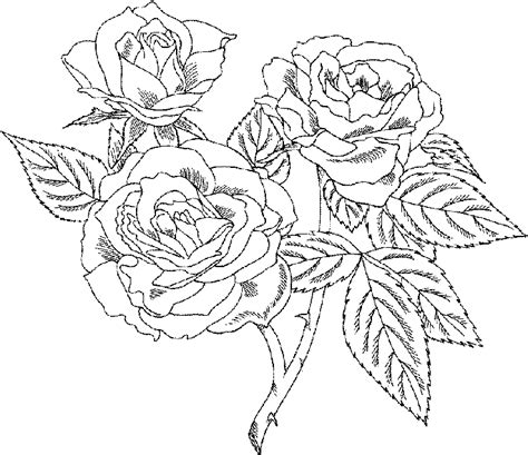 isimez coloring pages  adults roses