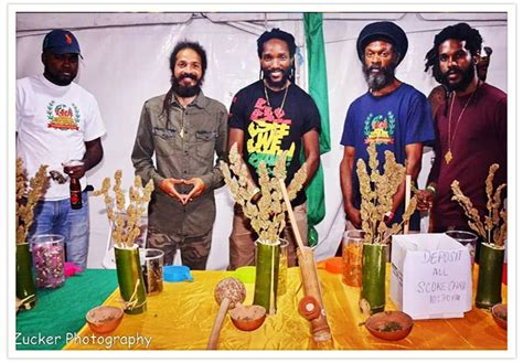 taking you higher at the stepping high ganja festival 2019 in jamaica