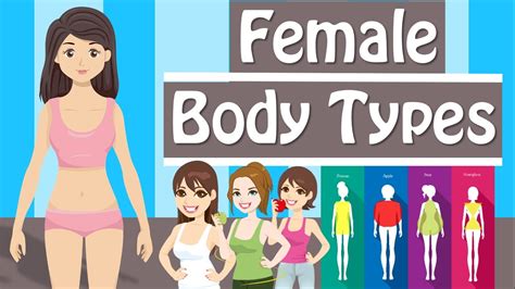 female body types  body shapes  body types women  youtube