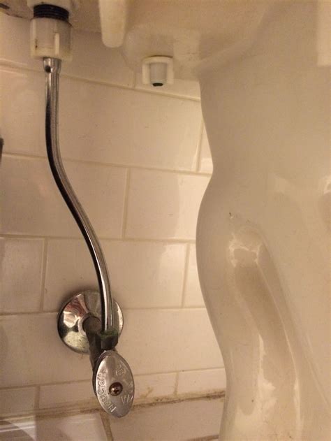 this bidet has made my butt cleaner than ever