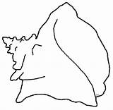 Conch Shell Queen Shells Coloring Draw Sea Crafts sketch template