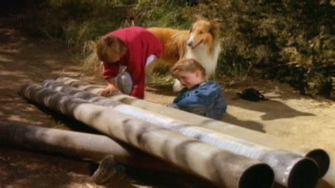 Watch The New Lassie Episode Watch Your Step