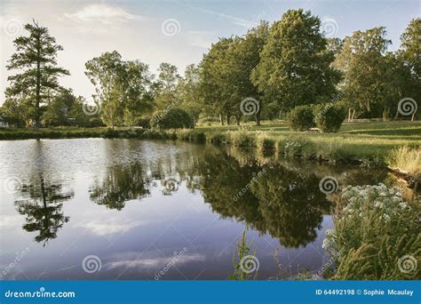 countryside park pond stock photo image