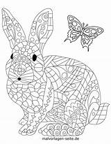 Ausdrucken Hase Malvorlage Tiermandala Malvorlagen Mosaik Mandalas Ausmalbild Vorlagen Kinderbilder Verwandt Seite Erwachsene Animaux sketch template