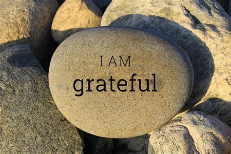 vida integrative medicine i am… grateful gratitude attitude of