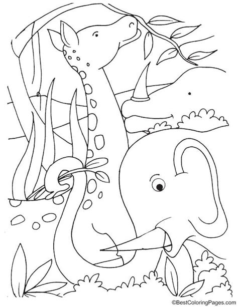 giraffe  elephant  jungle coloring pages giraffe elephant