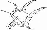 Coloring Pterosaur Dinosaur sketch template