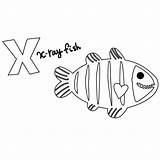 Fish Ray Coloring Drawing Clipart Xray Library Collection Paintingvalley Comments sketch template