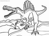Spinosaurus Coloring Pages Spine Lizard Xcolorings Printable 772px 99k 1024px Resolution Info Type  Size Jpeg sketch template