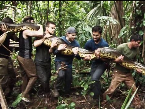 discovery channel eaten alive trailer suggests man   swallowed