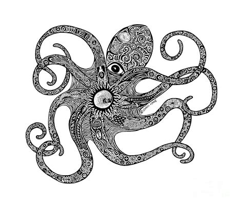 octopus drawing  carol lynne