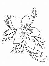 Hawaiian Hawaii Drawing Hibiscus Outline sketch template