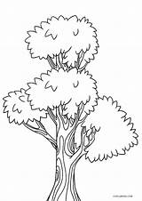 Tree Coloring Pages Printable Kids Sheets Print Cool2bkids Choose Board Beauty sketch template