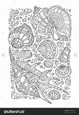 Seashell sketch template