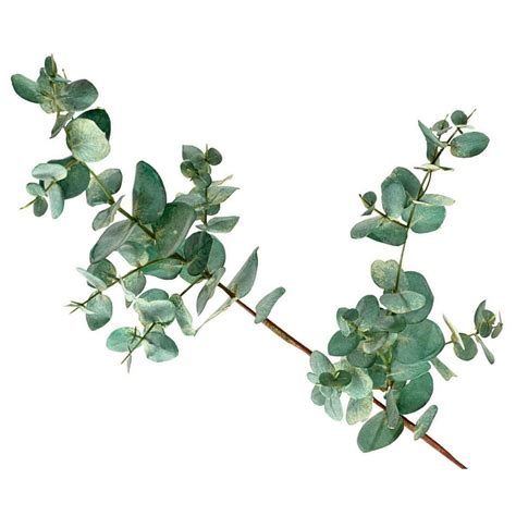 Artificial Single Flower Plant Stem Eucalyptus Green Yellow Leaves