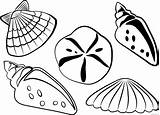 Shells Seashell Seashells Kerang Muscheln Pngwing Coloring4free sketch template
