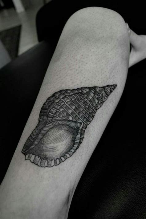 shell tattoo  tattoos shell tattoos black ink tattoos female tattoo mood light