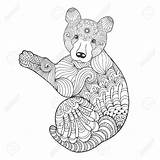 Tribal Caves Coloring Designlooter Bear Doodle Patterned Ethnic Drawn Animal Vector Hand Cute 1300px 1300 91kb sketch template