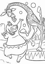 Madagascar Coloring Pages Printable Kids Animal Cartoon Gloria Print Mermaid sketch template