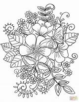 Coloring Flower Pages Printable Flowers Butterfly sketch template