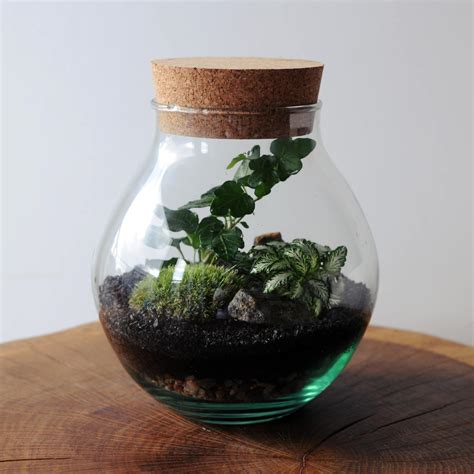 zestaw miniaturowy ogrod  szklanej kuli las  sloiku sklep