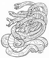 Hydra Reptilien Lineart Dragon Malvorlage Getdrawings Desenhos Colorir змеи Gremlins Rachaelm5 Reptile Designlooter Bord sketch template