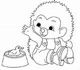 Coloring Hedgehog Pages Coloringpages1001 sketch template