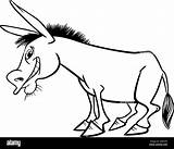 Asino Donkey Esel Colorare Coloring Malbuch sketch template
