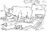 Rinoceronte Colorare Iena Mamma Figlio Disegno Rhino Habitat Rhinoceros Kolorowanka sketch template