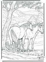 Ausdrucken Ostwind Pferde Aysen Boyama sketch template